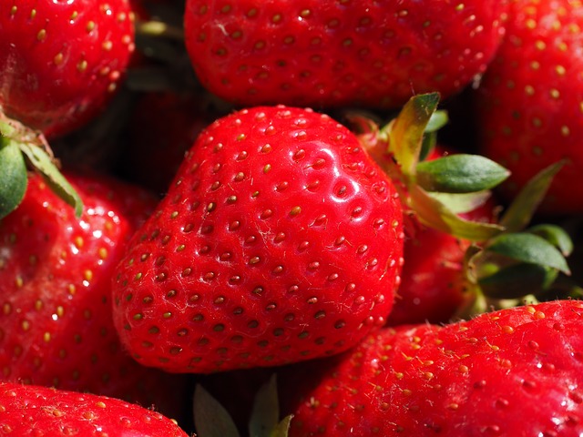 Bild von Erdbeeren - die süßen roten Früchte im Frühjahr