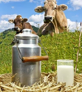 Bild von Milchprodukte verursachen bei Ihnen Durchfall ?