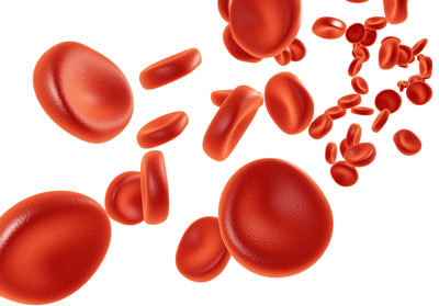 Eigenbluttherapie