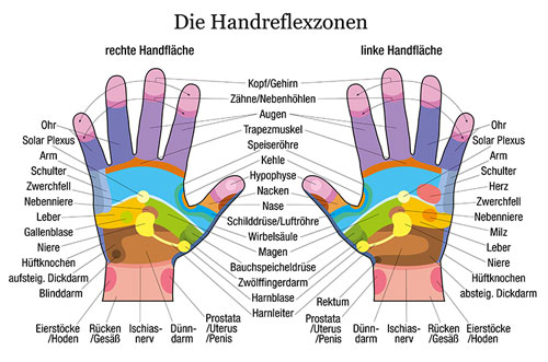 Handreflexzonen